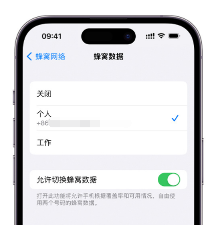 辽宁苹果维修服务分享如何在iPhone上使用双卡 